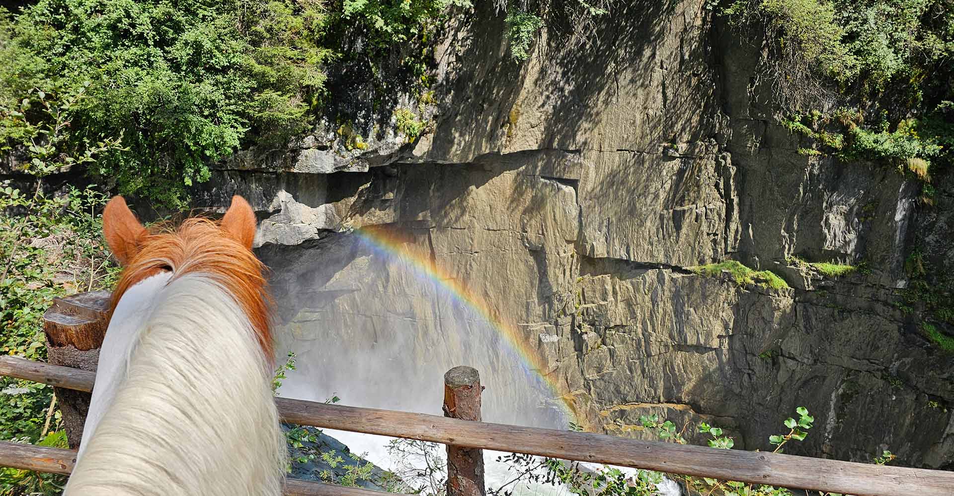 pferdeglück_reiten_tirol