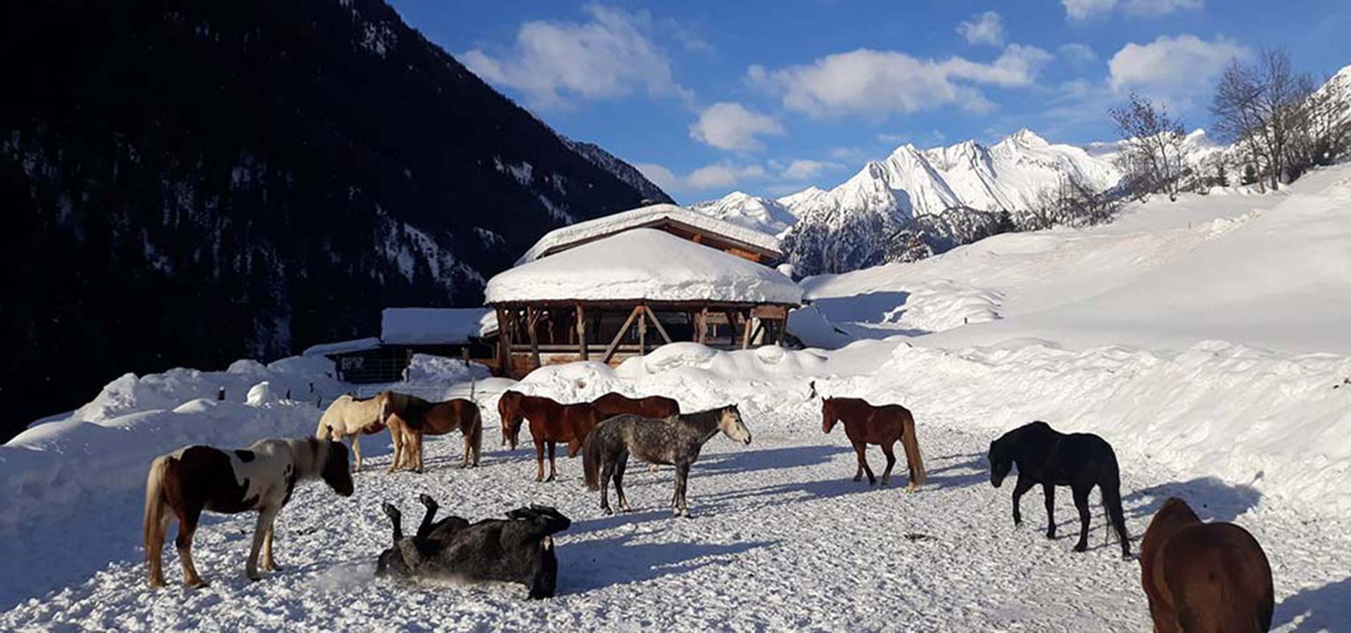 stall_winter_reiten-tirol_header