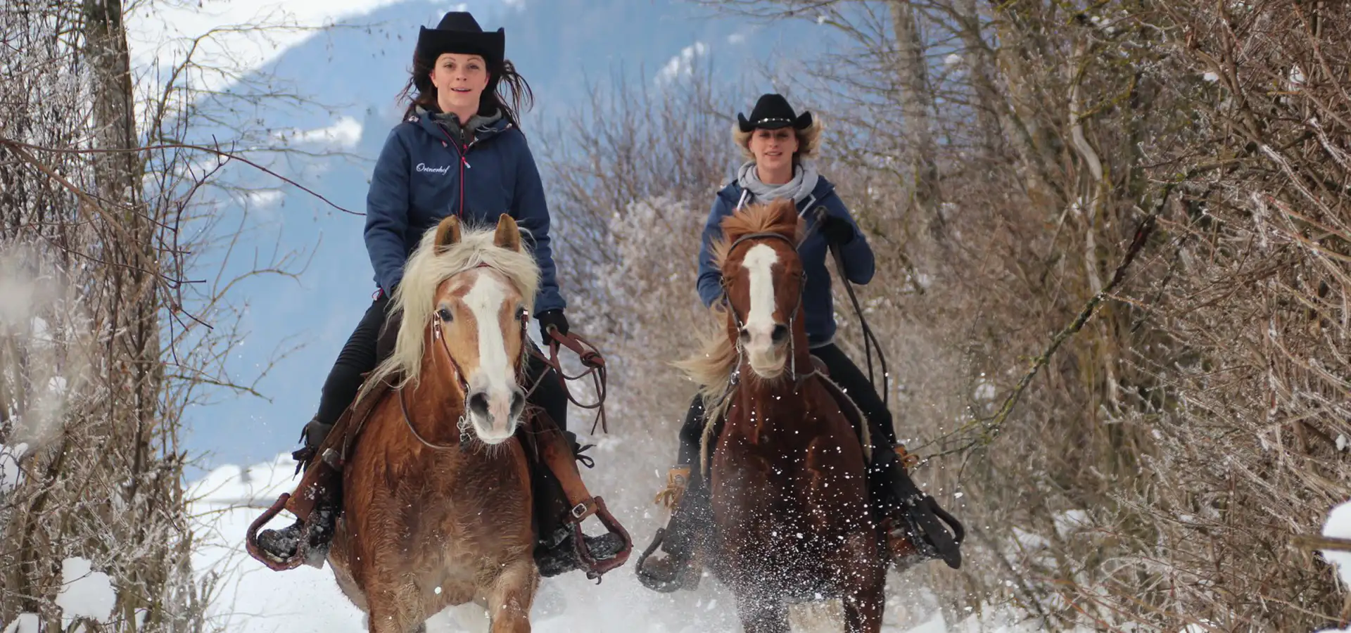 winterreiten_header.webp